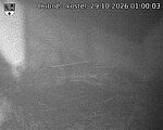 Capi_Dubne_20261029_010003.jpg