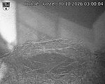 Capi_Dubne_20261030_030004.jpg