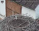 Následující